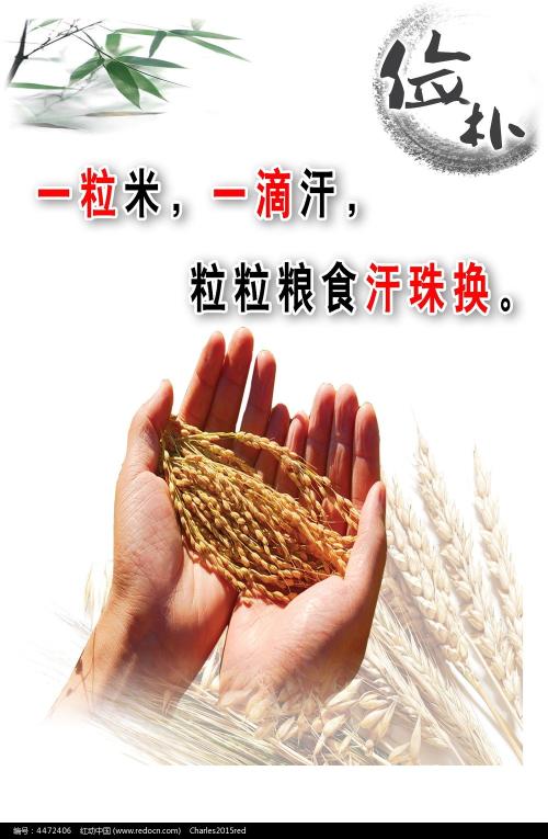 堪萨斯州驾照哪里能买到